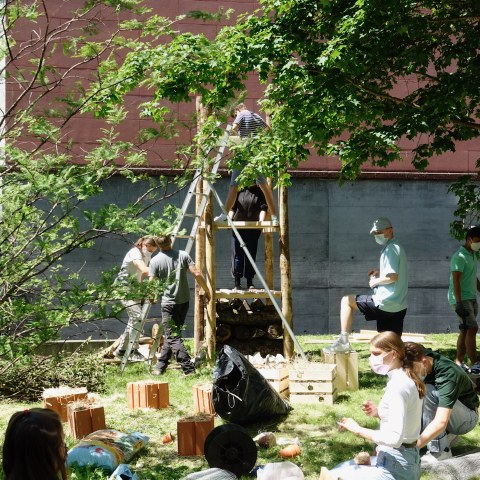 Aktionstag Gymnasium Leonhard (14). Vergrösserte Ansicht