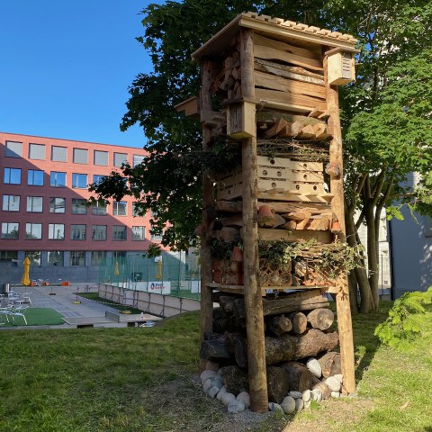 Aktionstag Gymnasium Leonhard (39). Vergrösserte Ansicht