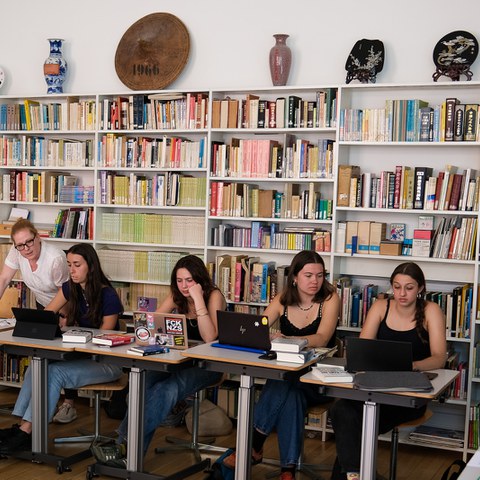 LNdS1. Vergrösserte Ansicht